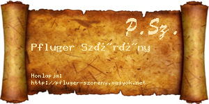 Pfluger Szörény névjegykártya